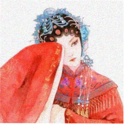 观众头像 数据党阿凯